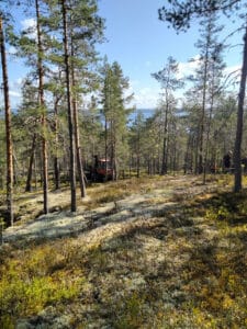 Metsän läpi näkyy Keitelejärvi korkealta vuorelta. Metsäkone kiipeää vuorelle.