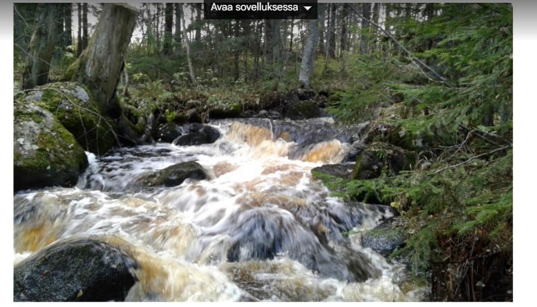 Voimakkaasti virtaavaa vettä metsässä, Kiviä, Jyrkkä lasku.