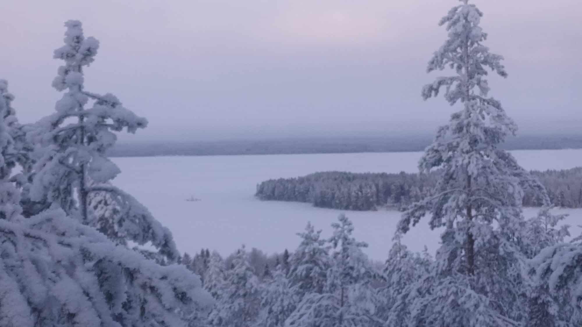 Talvista metsää ja Keitele järvi katsottuna Luuvuoren näköalatasanteelta eli näkyy puiden lumiset latvat ja jäässä oleva järvi.